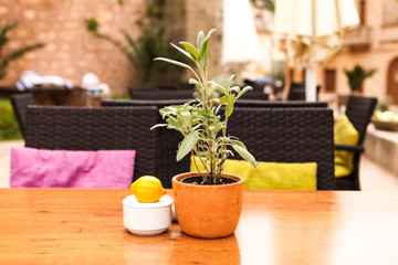 frische blumen dekoration in einem café auf dem tisch