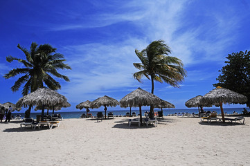 Caribbean Island Paradise - Palm trees hanging over a sandy whit