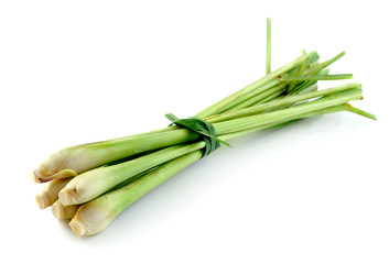 Lemon grass on white background