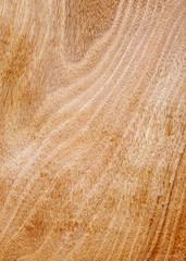Wooden planks texture