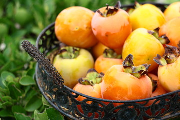 persimmon in basket with green background