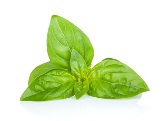 Fresh basil