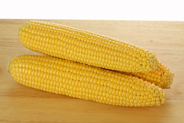Corn cobs on a plank