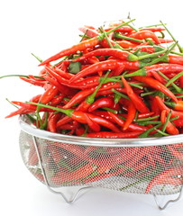 group of red chilies on white background