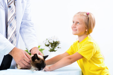 girl brought the cat to the veterinarian