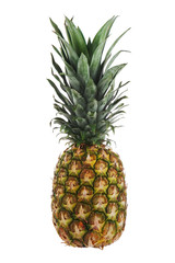 Ripe whole pineapple isolated on white background.