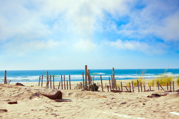 Sandy ocean shoreline with dunes and grassy edge, fencing