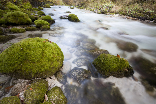 Predaselj gorge