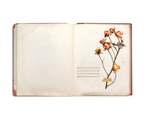 Old book and dried flowers of rose
