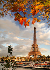 Obraz na płótnie Canvas Eiffel Tower with autumn leaves in Paris, France