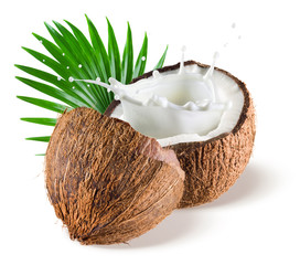 Coconuts withmilk splash and leaf on white background