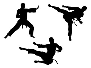 Fototapeta na wymiar Karate Martial Art Silhouettes