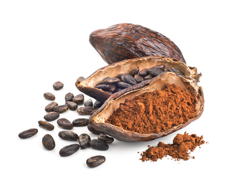 Cocoa pod, beans and powder isolated on a white