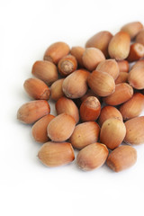 nocciole_ sfondo bianco