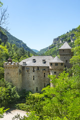 Fototapeta na wymiar Gorges du Tarn, castle