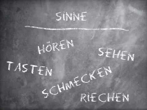Tafelbild Sinne