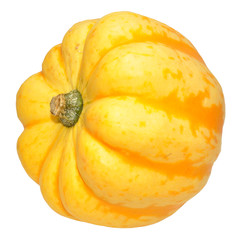 Harlequin Squash