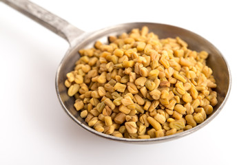 Löffel mit Bockshornkleesamen