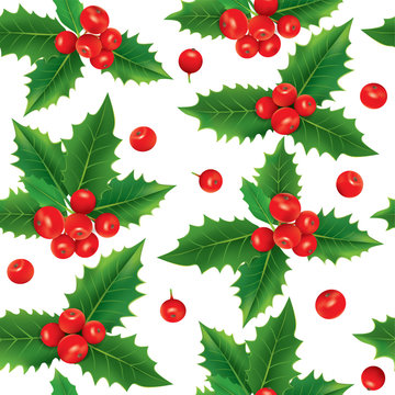 Seamless pattern of holly berries
