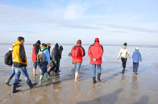 Wattwanderung in Nordfriesland