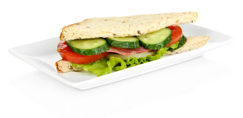 Tasty sandwich with salami sausage and vegetables