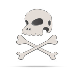 skull human and bone vintage isolated