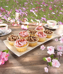 cup cake
