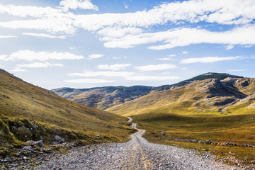 Beautiful summer landscape with road in the mountains