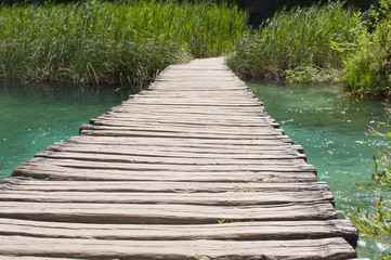 Obraz premium Deep forest stream. Crystal clear water. Plitvice lakes, Croatia