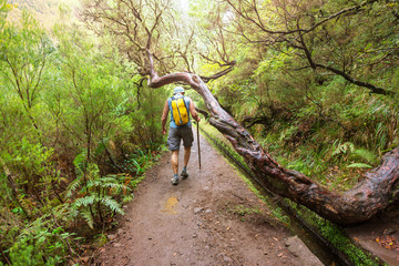 Obraz premium Hike in Madeira