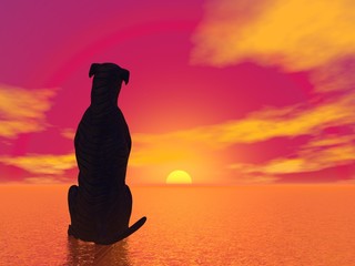 Meditation dog- 3D render