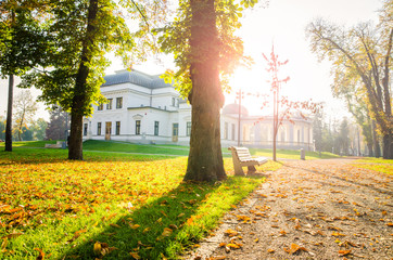 Park on a sunny autumn day