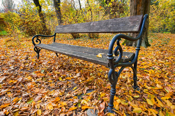 Fototapeta na wymiar Bench in autumn forest
