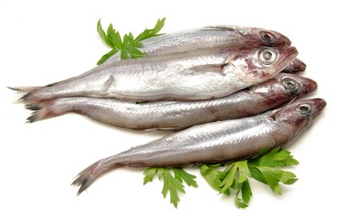 Bacaladillas frescas sobre fondo blanco