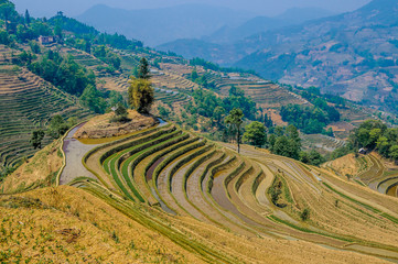 Fototapeta na wymiar Tarasy ryżowe Yuanyang, Yunnan, Chiny