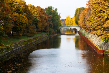 Fototapeta na wymiar view of bridge and leaves fall on Landwehrkanal