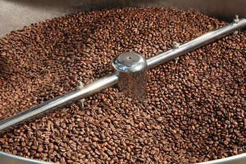 Frisch gerösteter Kaffee im Kühlsieb | Kaffeeröster