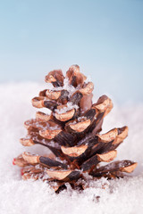 pine cone in snow christmas decoration