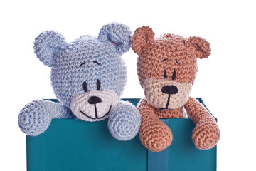 teddy bear with empty green label sign