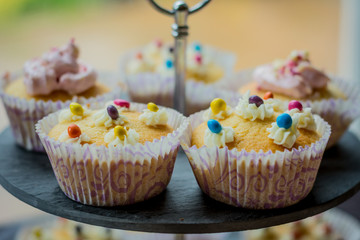 cake and cupcakes