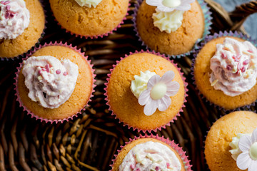 cake and cupcakes