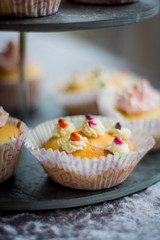 cake and cupcakes