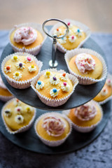cake and cupcakes