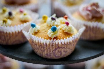 cake and cupcakes