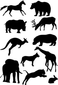 Silhouettes of mammal