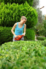 woman pruning shrub with tool in garden