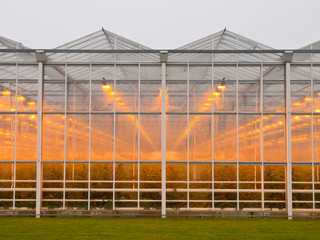 Obraz premium commercial glasshouse