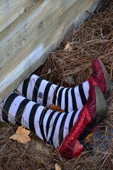 Fate of a bad witch