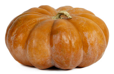 Pumpkin isolated on white