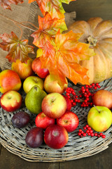 Naklejka na ściany i meble Autumn composition of fruits and pumpkins on table close-up